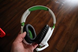 Turtle Beach
