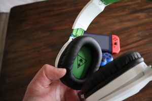 Turtle Beach